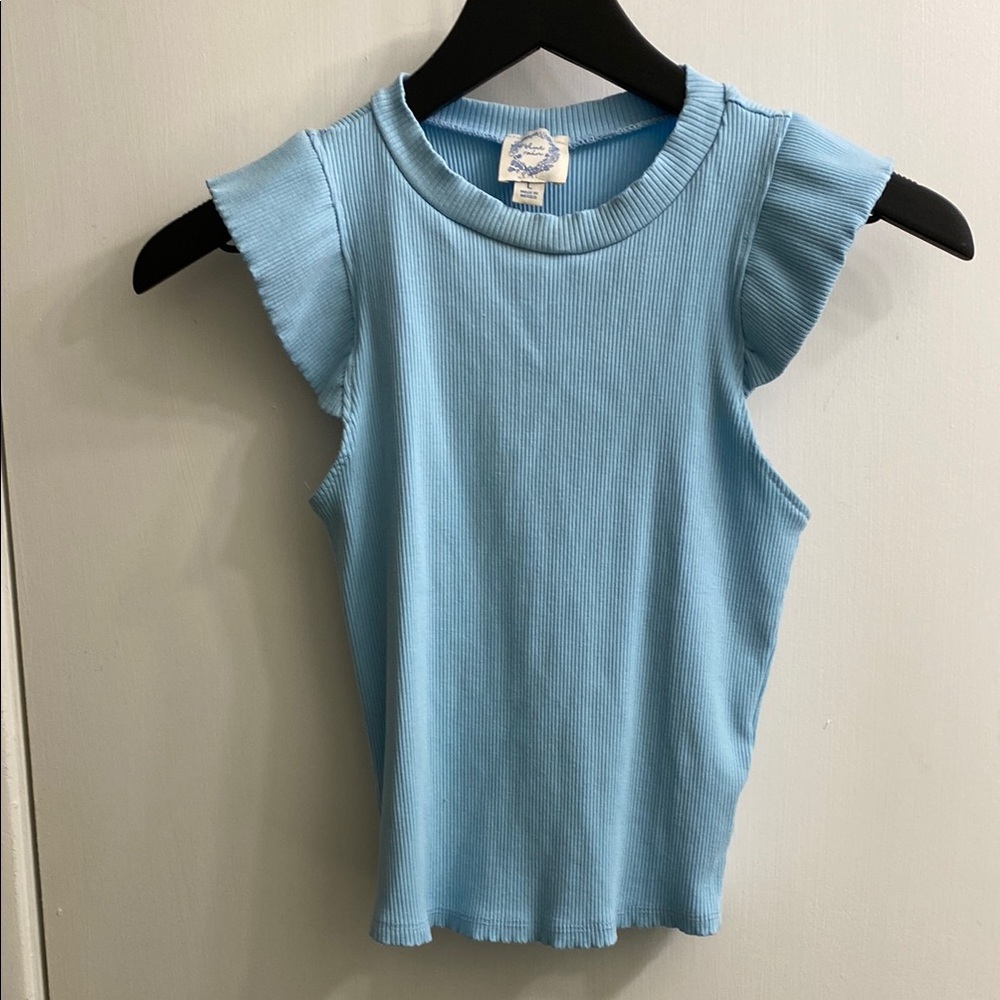Francesca’s Light Blue Ribbed Crop Top
